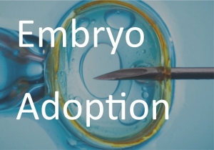 embryo-adoption